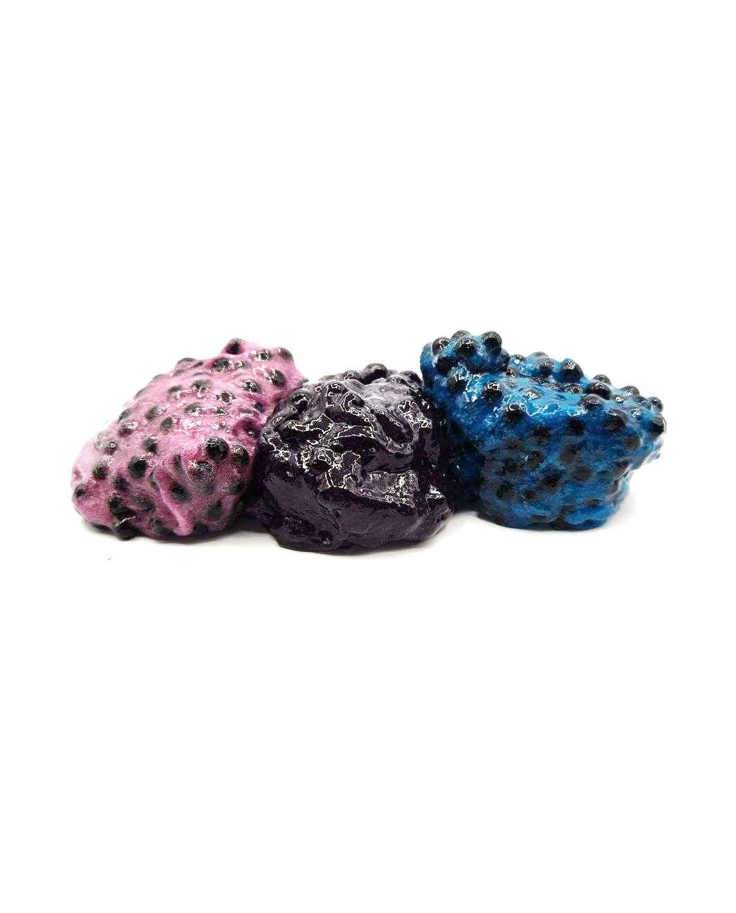 Boba Bundle