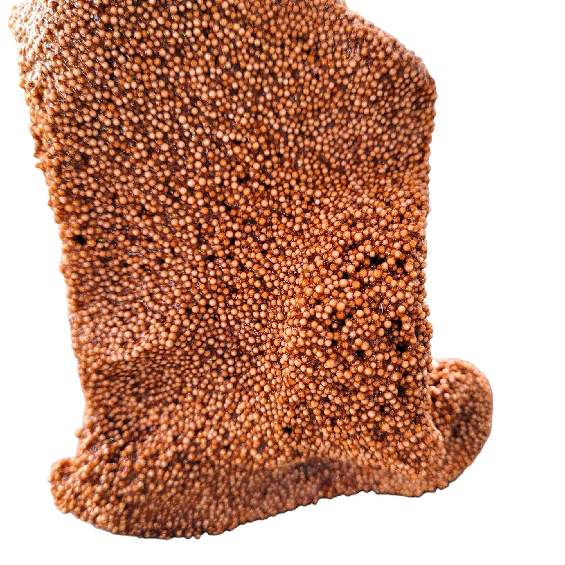 Pig in the mud microfoam slime - chocolate scent